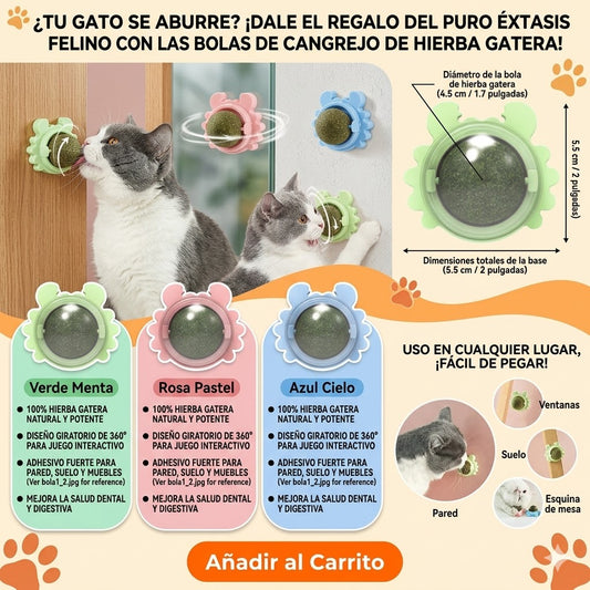 Juguete Para Gatos ¡El Paraíso Felino Gira Con Nosotros!